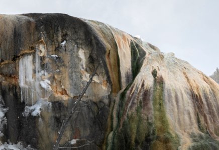 Orange Spring Mound, Mammoth Hot Springs photo