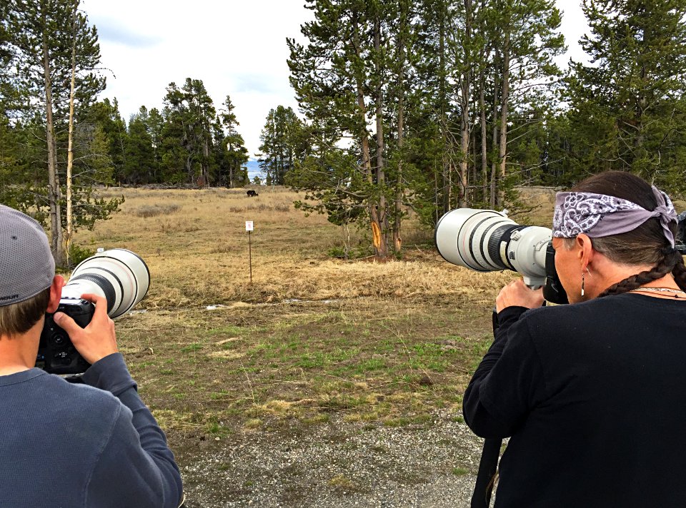 Photographing a grizzly from a safe distance