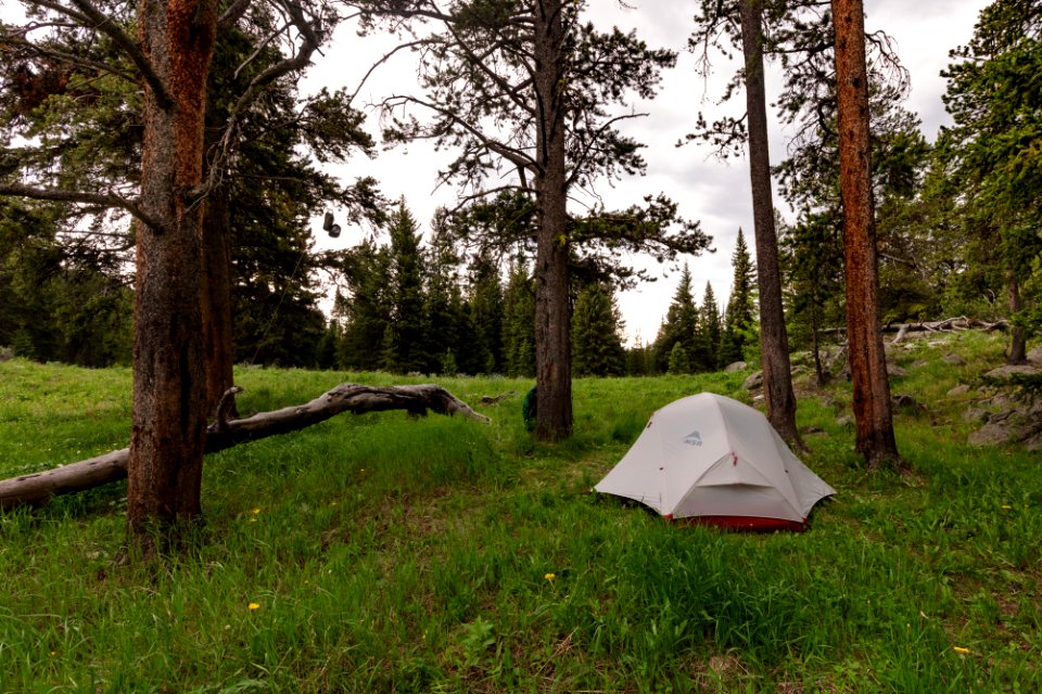 Camp views along Coyote Creek in the Absaroaka Beartooth Wilderness