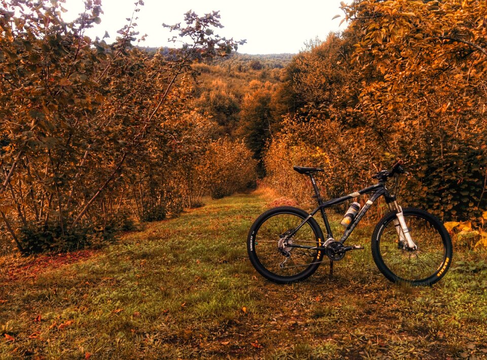 Trail fall fall landscape