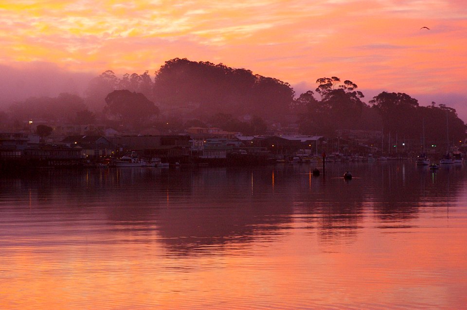 EARLY MORNING AT MORRO BAY HARBOR -049