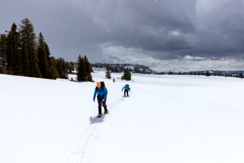 Snowshoeing Buffalo Plateau with light snow