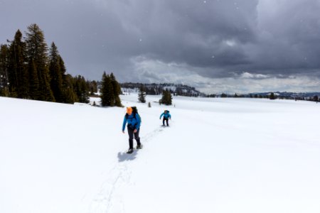 Snowshoeing Buffalo Plateau with light snow photo