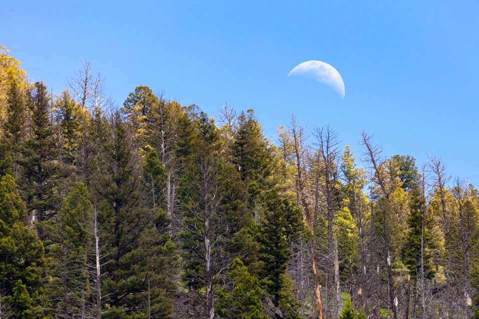 Moonrise over Bull Mountain