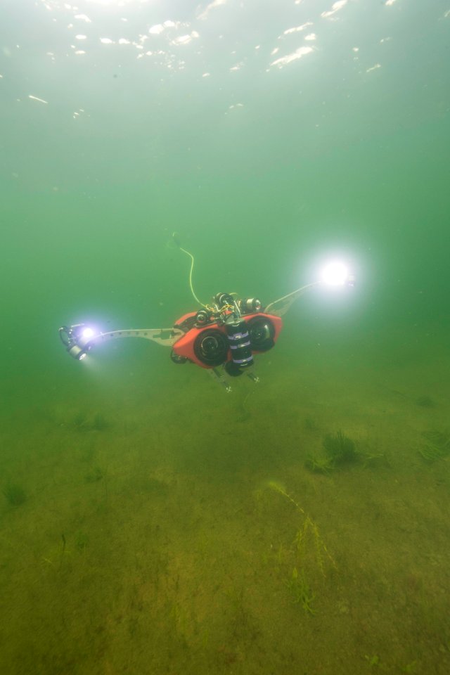 NPS Submerged Resources Center aids with Yellowstone's aquatic invasive species program (9)