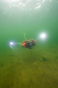 NPS Submerged Resources Center aids with Yellowstone's aquatic invasive species program (9) photo