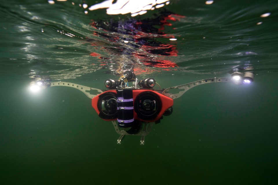 NPS Submerged Resources Center aids with Yellowstone's aquatic invasive species program (20)