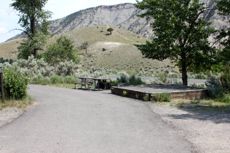 Mammoth Hot Springs Campground