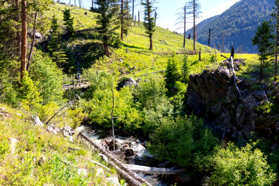 Backpacker crosses the Specimen Creek Bridge in the Absaroka Beartooth Wilderness