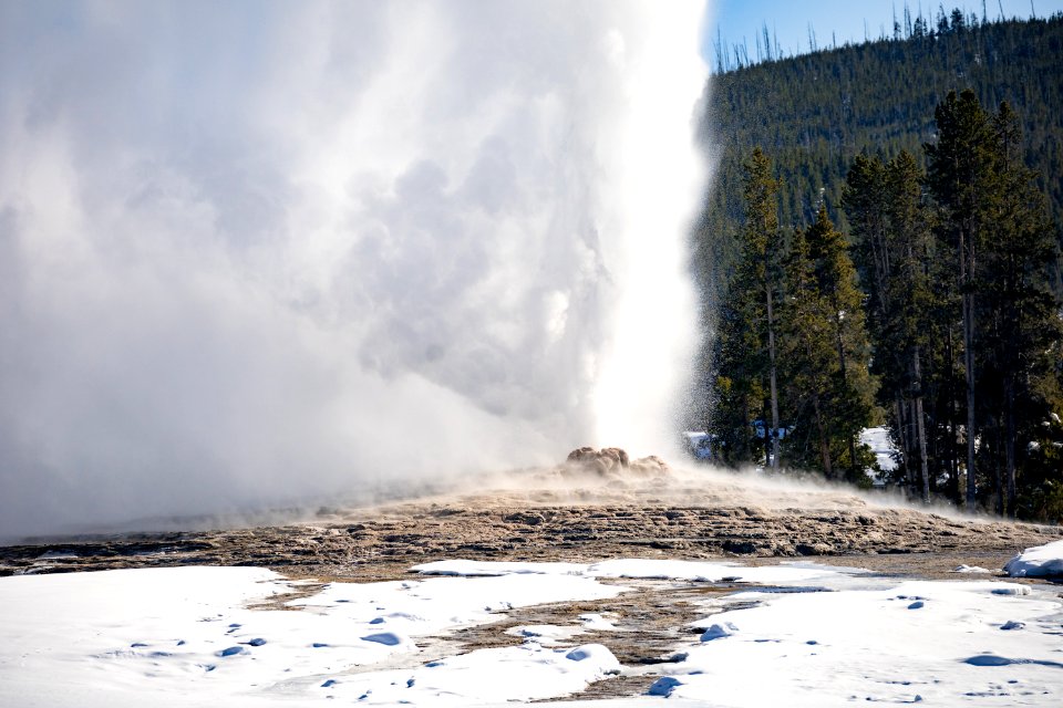 Old Faithful eruption and cone seen from Geyser Hill