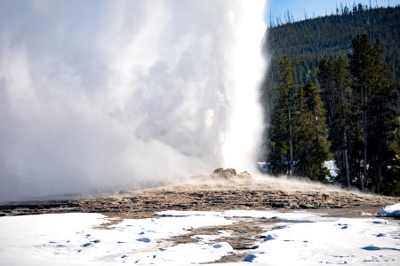 Old Faithful eruption and cone seen from Geyser Hill photo