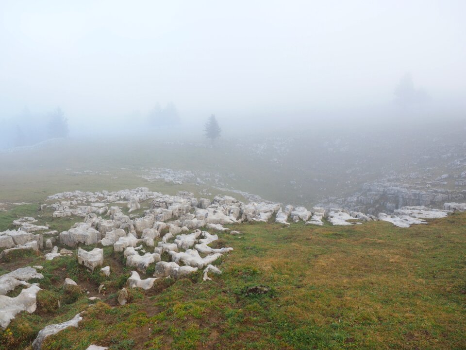 Limestone weathering karst
