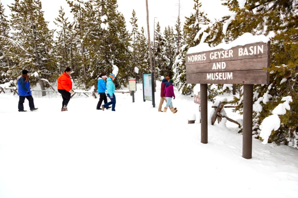 Group arriving at Norris Geyser Basin in the winter