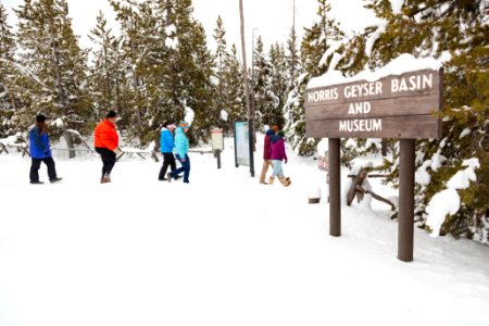 Group arriving at Norris Geyser Basin in the winter photo