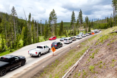 Mammoth to Norris construction northbound wait line photo