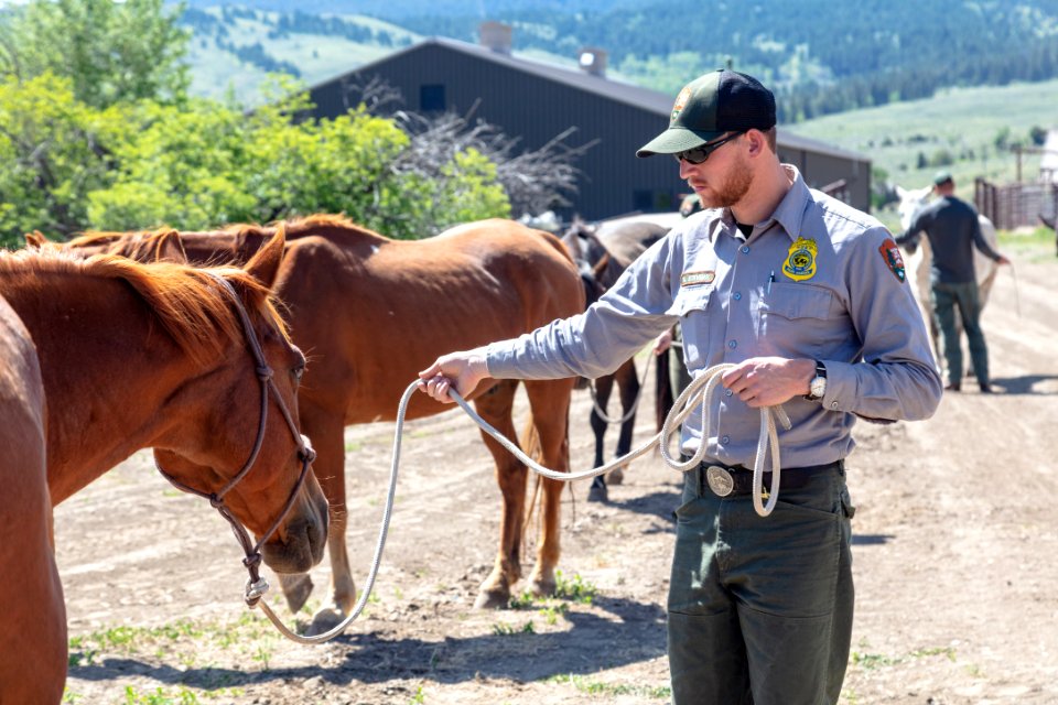 Horse safety training at Stephens Creek Corral (3)
