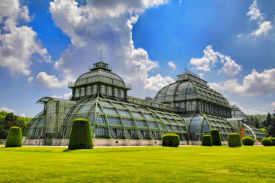 Palm house clouds sky photo