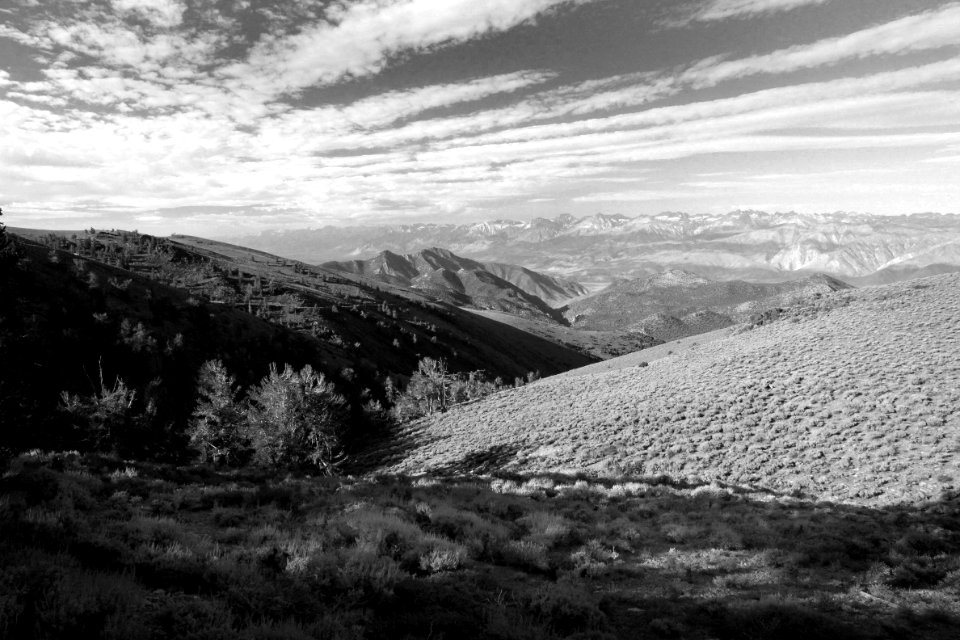 CA - INYO NAT FOREST, ANCIENT BRISTLECONE FOREST (2)