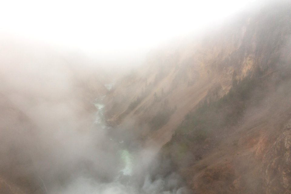 Grand Canyon of the Yellowstone filled with morning fog photo