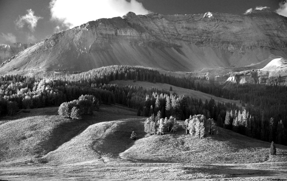 CO - DUNTON MEADOW, dolores co, co  (2)