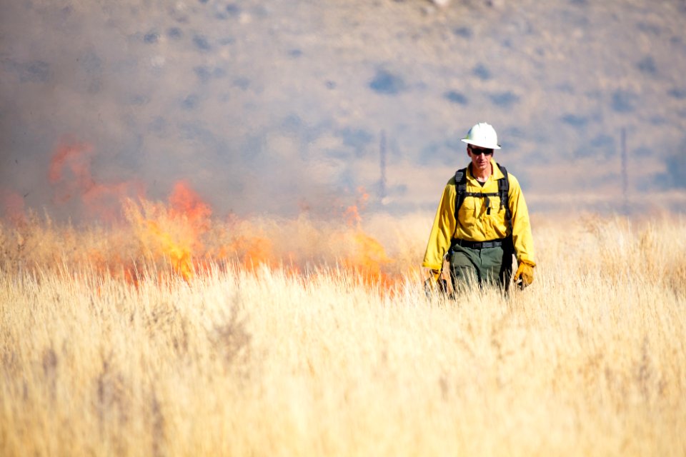 Cinnabar Basin prescribed burn project (26)