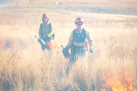 Cinnabar Basin prescribed burn project (11)