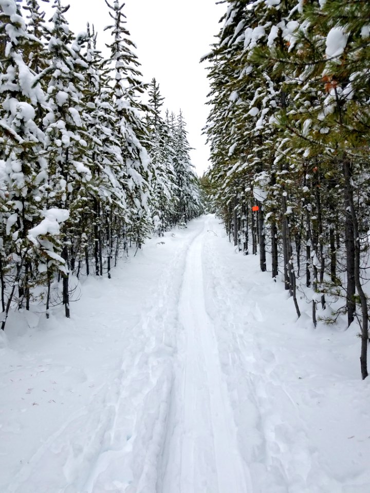 Trail to Kepler Cascades