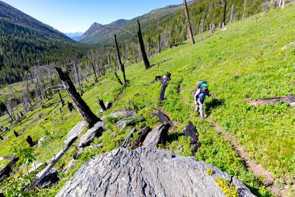 Backpacker hiking the Hellroaring Creek trail in the Absaroka Beartooth Wilderness with Mt. Washburn in the distance