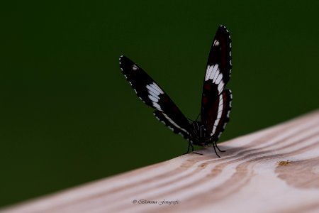16-08-2016 095336