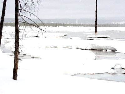 Midway Geyser Basin photo