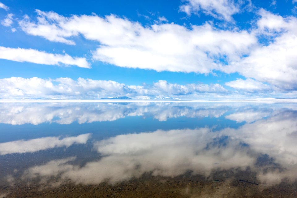 Spring reflections on Mary Bay