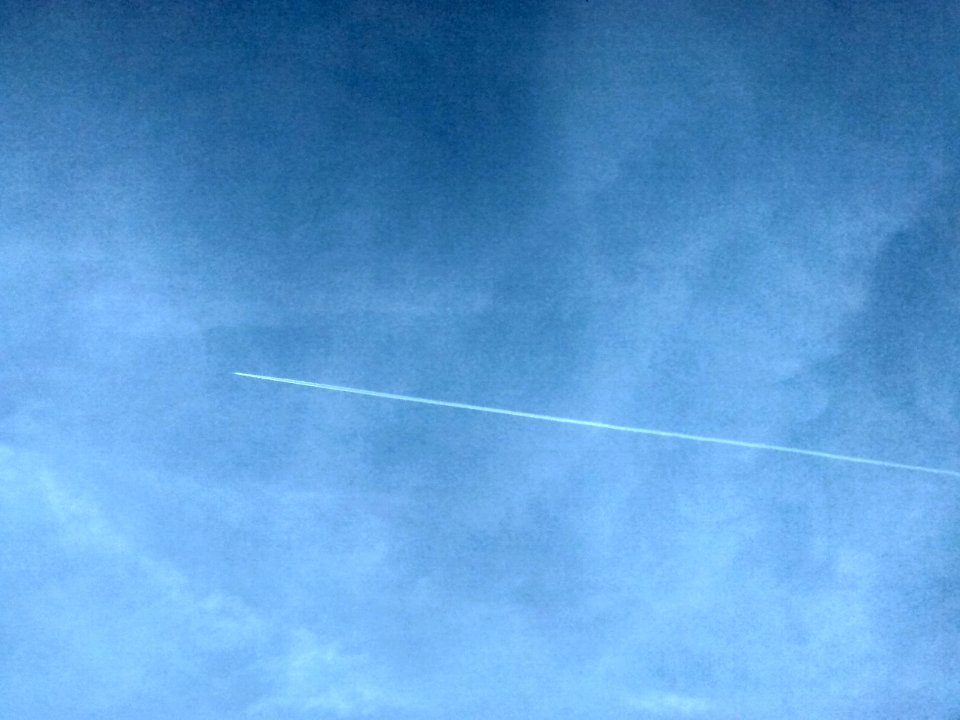 Gig in the sky
