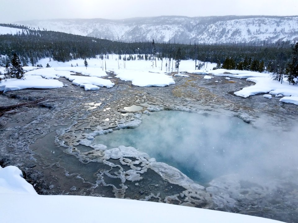 Artemisia Geyser