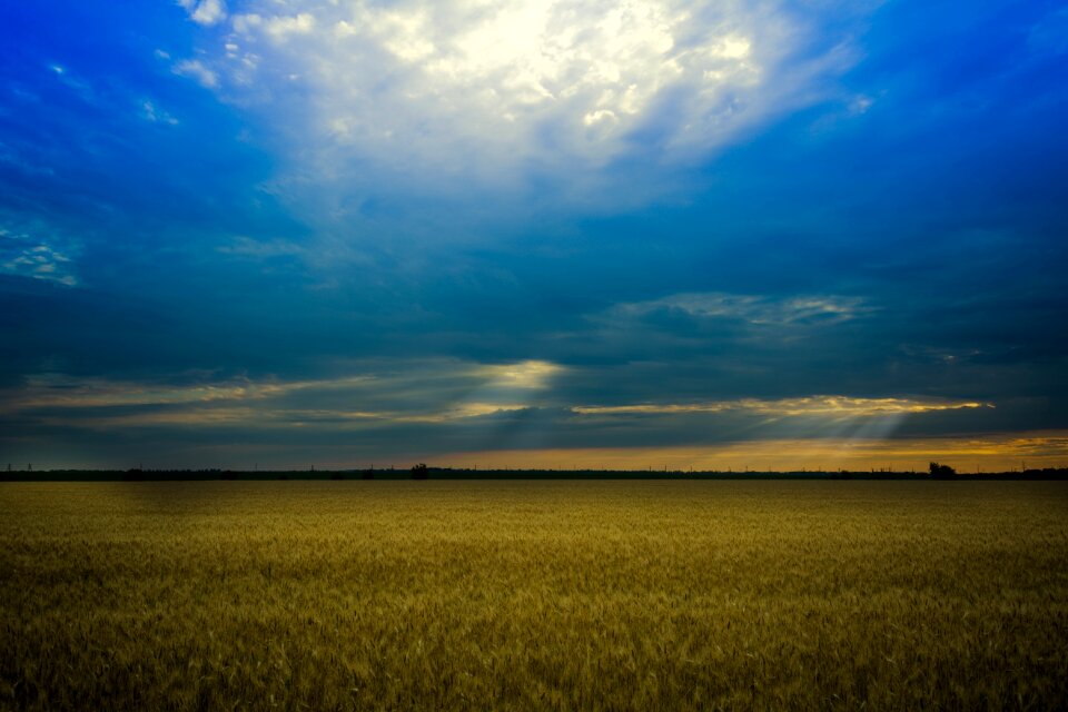 Field fon stefan voda