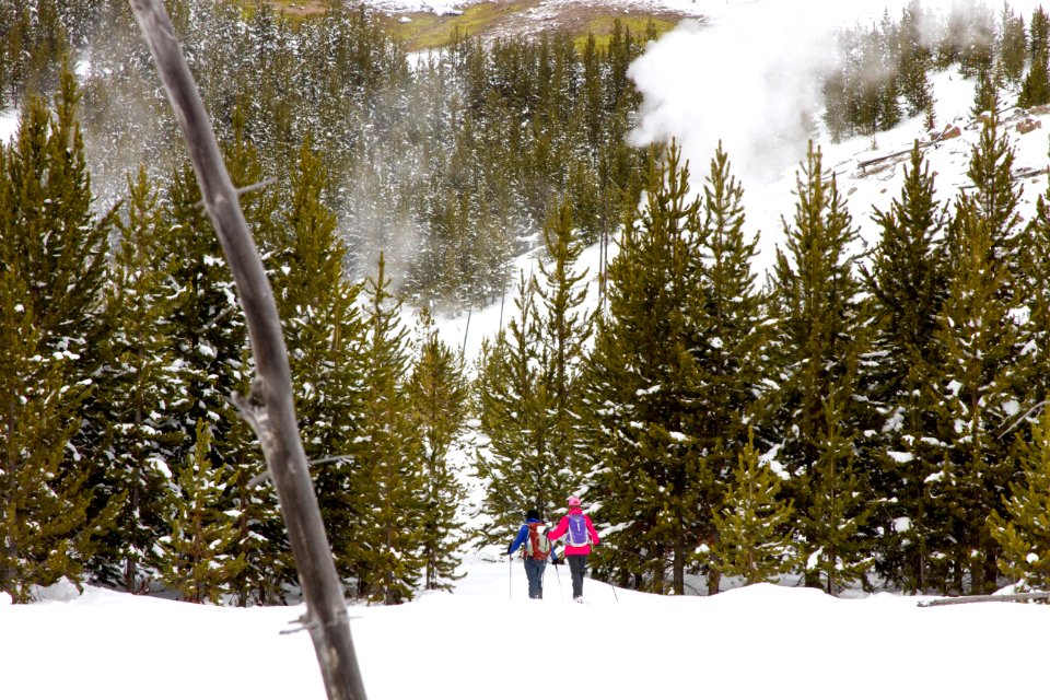 Skiers on Imperial Geyser trail