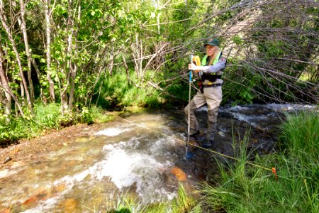 Park hydrologist, Erin White, taking high-precision water velocity measurements in Reese Creek (2)