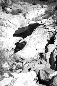 ROCK CORRAL CANYON - Atascosa Mts (3-22-14) -17