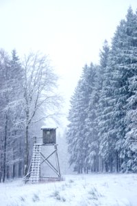 Wechsel