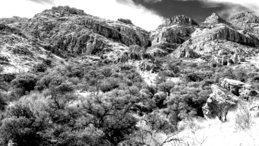 ROCK CORRAL CANYON - Atascosa Mts (3-22-14) -08 photo