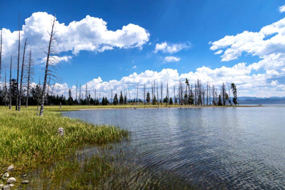 Eagle Bay shoreline near camp