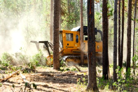 2019 West Fuels Treatment Project: masticator in action (5)