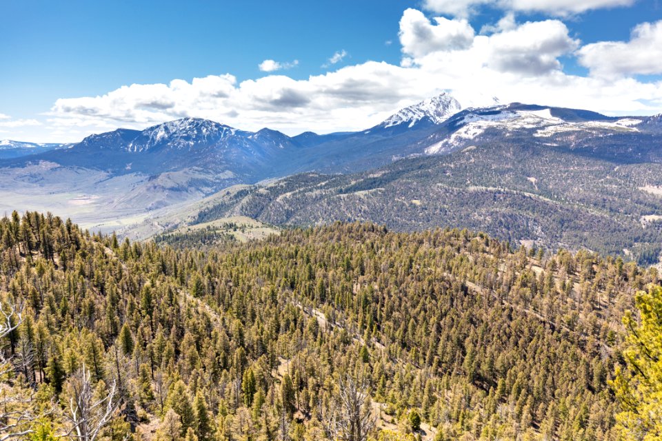 Views of Electric Peak and Sepulcher Mountain from Cinnabar Mountain