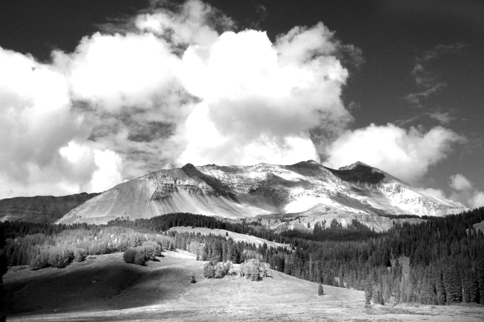 CO - DUNTON MEADOW, dolores co, co (1b) photo