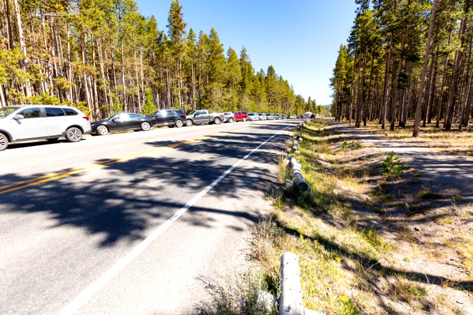 The overlow parking for Midway Geyser extends nearly 1/4 mile down the road