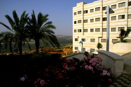 ariel shabbat66
