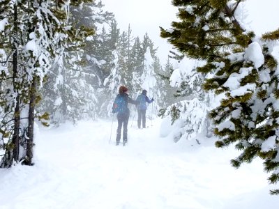 Skiers on trail near Artemisia Geyser