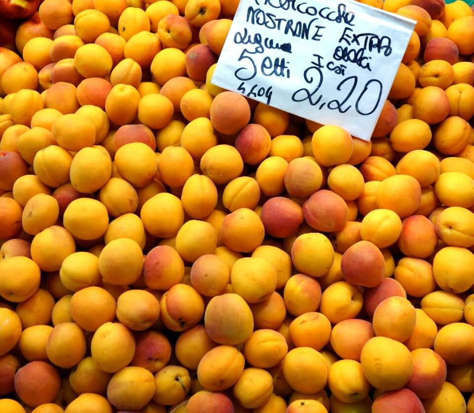 Background food orange fruit