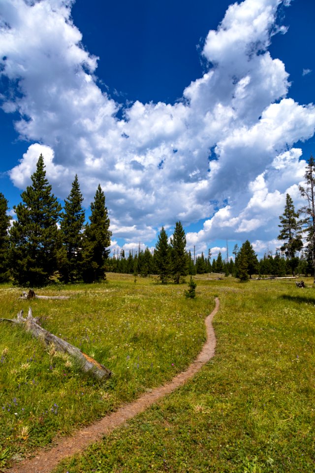 Campsite trails in Eagle Bay