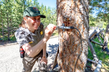 Outdoor recreation planner, Jenni Burr, installs a trail counter photo