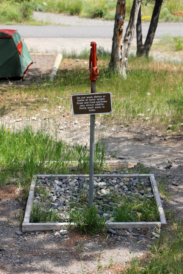Mammoth Hot Springs Campground
